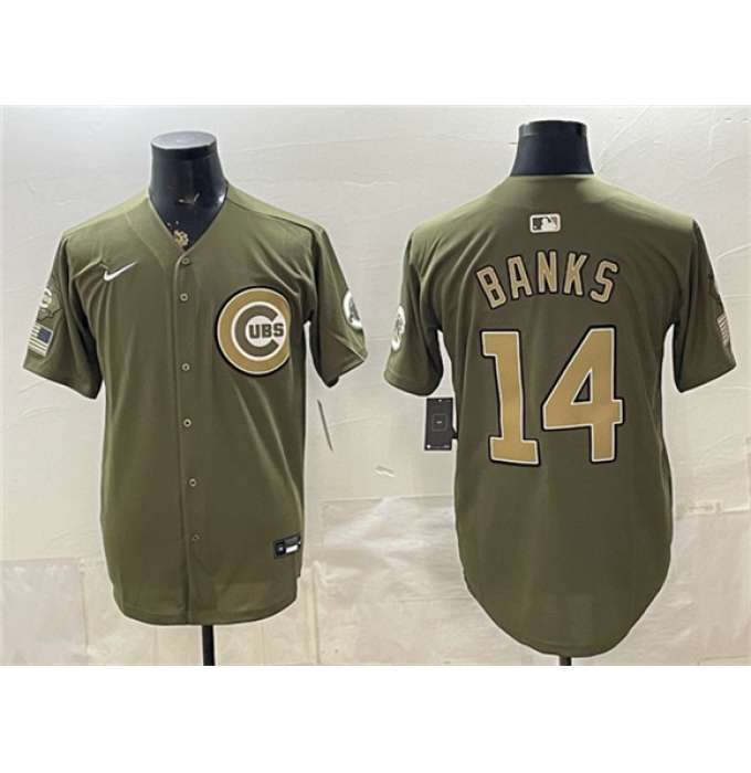 Men's Chicago Cubs #14 Ernie Banks Royal Olive 2026 Armed Forces Day Salute To Service Stitched Baseball Jersey